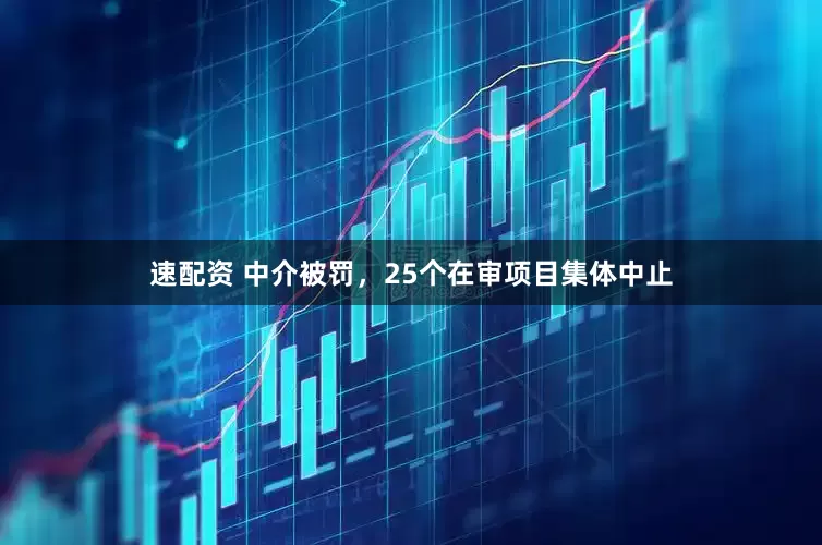 速配资 中介被罚，25个在审项目集体中止