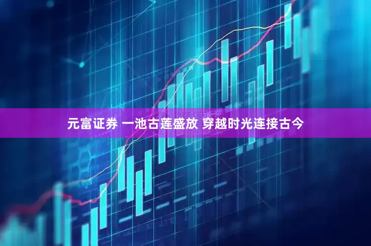 元富证券 一池古莲盛放 穿越时光连接古今