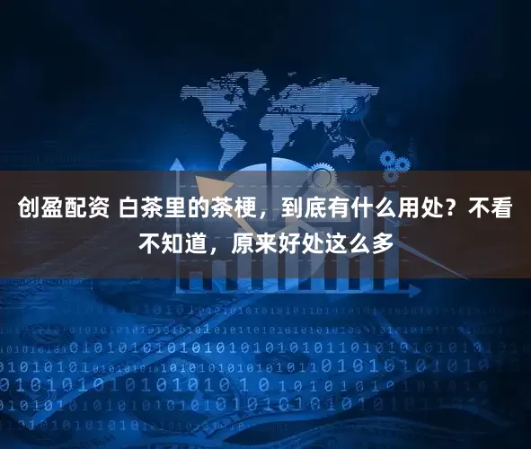 创盈配资 白茶里的茶梗，到底有什么用处？不看不知道，原来好处这么多