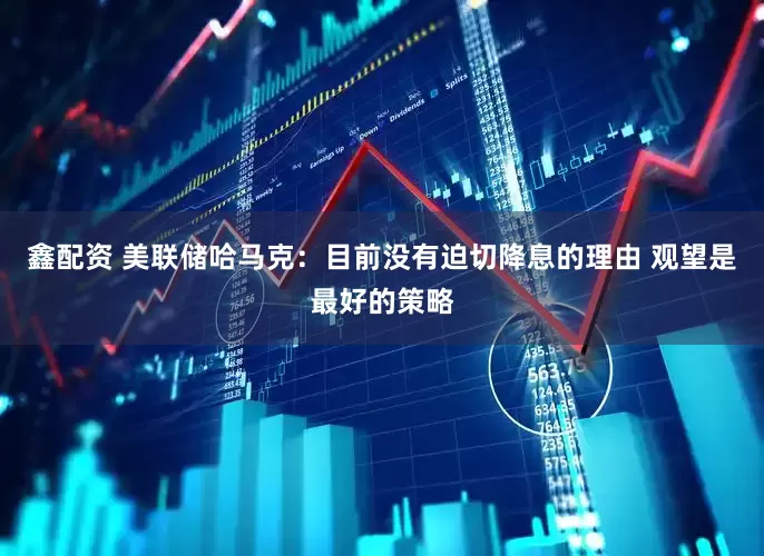 鑫配资 美联储哈马克：目前没有迫切降息的理由 观望是最好的策略